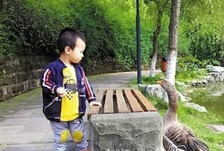 　小朋友，好好學(xué)習(xí)，未來是你的。