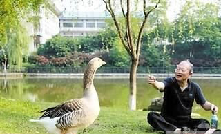 　爺爺，我沒空陪你玩，我要去圖書館了。