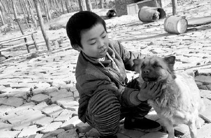 11歲男孩家中沒錢無法上學每天和26條流浪狗為伴